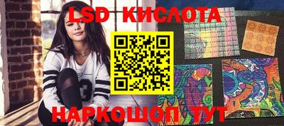 ПСИЛОЦИБИНОВЫЕ ГРИБЫ Гусев
