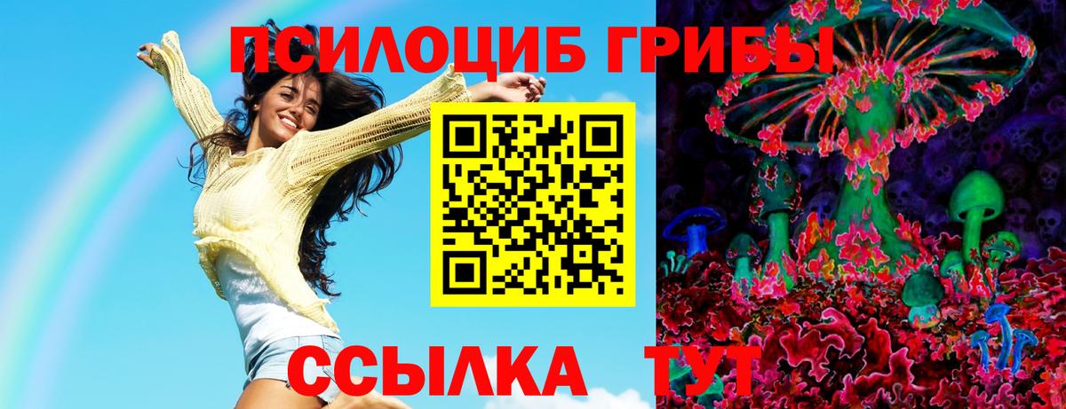 Псилоцибиновые грибы прущие грибы Миллерово