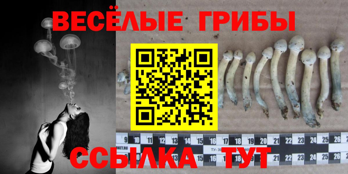Псилоцибиновые грибы мицелий  Вход с VPN  Миллерово 